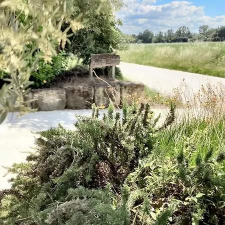 Maison Conviviale Avec Jardin A Saint-Nazaire-de-Pezan